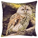 Schmuseweiche Kuschelkissen * entzückende Sofakissenhüllen mit Motiven in Foto Optik - kuschelige Dekoration für Bett, Couch und Lounge