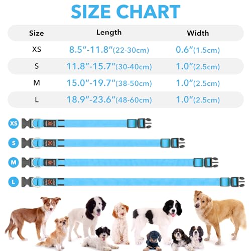 Conseils pratiques pour utiliser le collier lumineux Illumifun