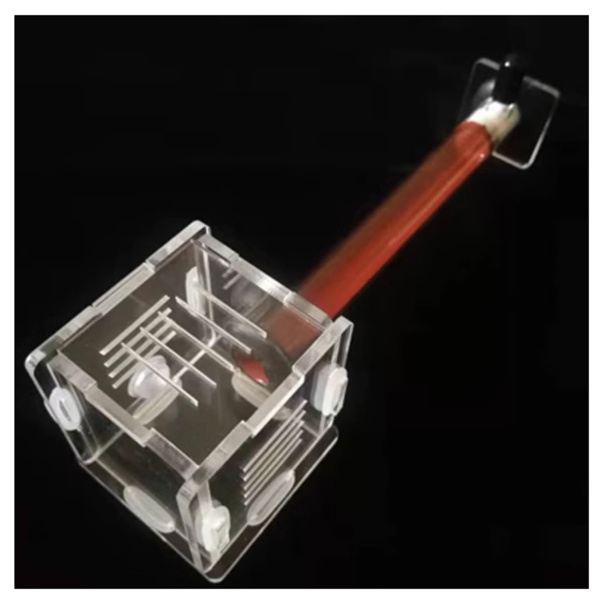 Ameisenhaus, DIY Acryl Ant Formicarium 2 Reagenzglas 4x4x4cm 15-18mm(B,15 Calibre)
