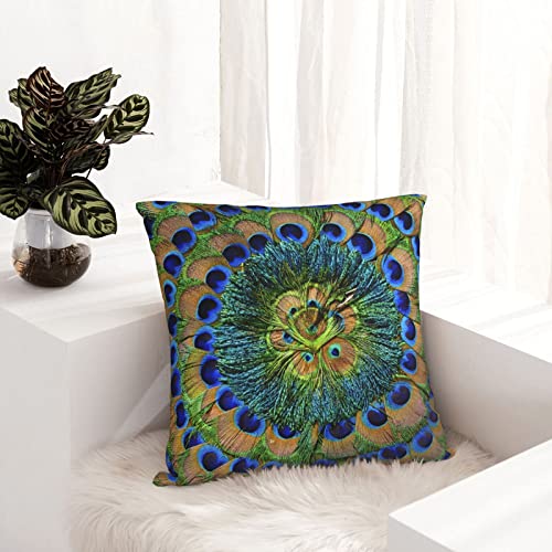 Throw Pillow Covers Teal Peacock Watercolor Blue Teal Vintage Peacock Cushion Pillowcase Sofa Square Print18 X18 #TOP3