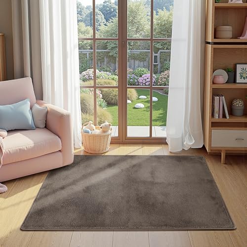 jinchan Plush Shaggy Rug 3x5 Non-Slip Indoor Carpet Brown