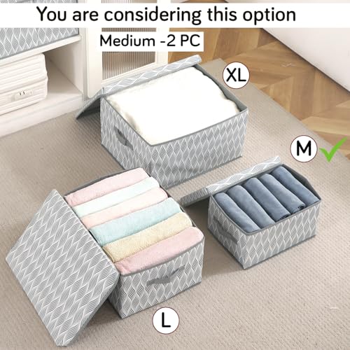 Image of HOKIPO Cloth Organiser for Storage - Under Bed & Wardrobe Organizer Storage Box with Lid | Non-Woven, Moisture-Resistant, Foldable | Pack of 2 Medium (AR-5813 * 2)
