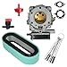 Partman Carburetor 495181 499306 for Briggs & Stratton 693480 693479 694056 Carb with 394019S Air Filter Tune Up Kit