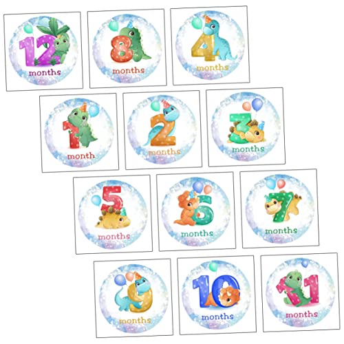 Cartello Annuncio Nascita 12 Mesi Adesivi Accessori Per Foto Mensili Per Neonati Per Bambine O Bambini