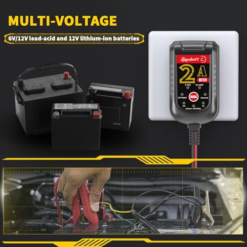 Image of 4 Pack Battery Charger 2A 6V 12V, Trickle Charger and Maintainer with Pulse Repair, Automatic Float Charger for Car Motorcycle Boat Lawn Mower ATV RV, 10FT Cable, LiFePO4 Lithium AGM Gel Lead Acid