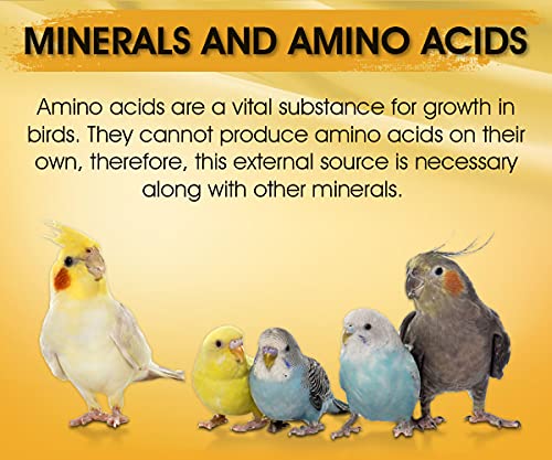 BOLTZ-Immunity-Booster-for-All-Birds-for-Healthy-Growth-with-Essential-Vitamins-Minerals-and-Amino-acids-100ml-transperent-Small