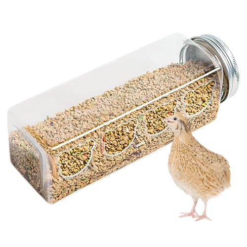 Transparente para codornices, Pollos, gallinas, 4 Puertos de alimentación con Forma de Oso, Bebedero para Loros con Forma de Botella, Suministros portátiles para Aves pequeñas, comederos para