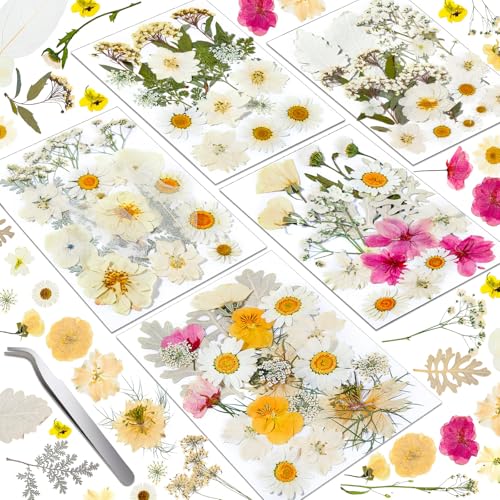Image of Dried Pressed Flowers for Resin, Real Pressed Flowers Dry Leaves Bulk Natural Herbs Kit for Scrapbooking Art Crafts Epoxy Resin Jewelry Mold Candle Soap Making Nails Decor (White & Pink Floral)