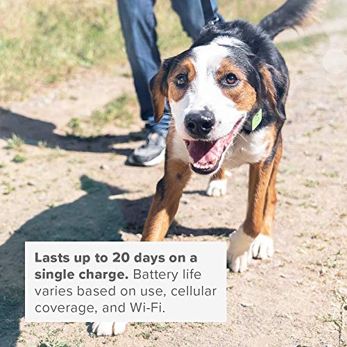 Whistle Go Explore Pet Tracker - Image 7