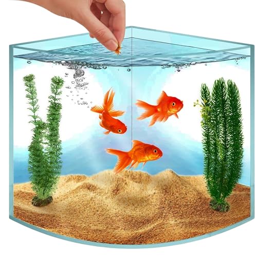 Skywin Tanque de peixes de canto, aquário de acrílico de 4 litros, aquário de canto para peixes da vida real, aquário para peixes pequenos, aquários e aquários