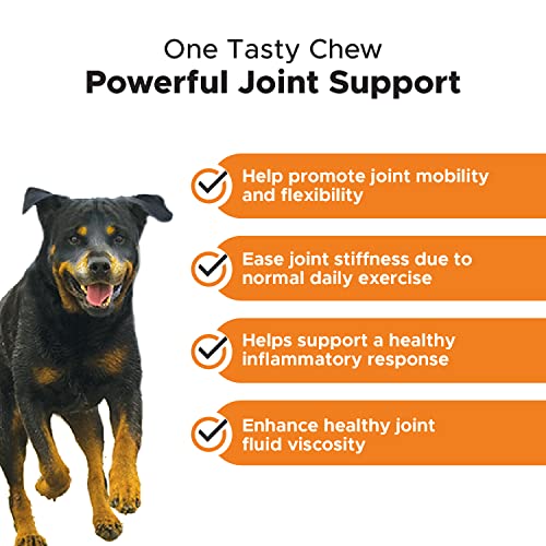 Pethonesty Senior Hemp Mobility - Hip & Joint Supplement For Senior Dogs - Hemp Oil & Powder, Glucosamine, Collagen, Msm, Green Lipped Mussel, Support Mobility, Helps With Occasional Discomfort (90) #TOP2