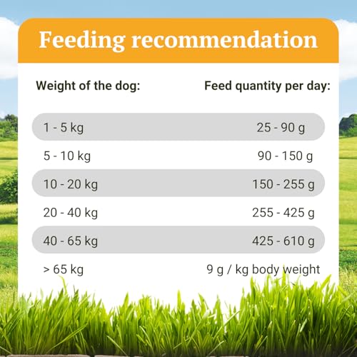 Bellfor Weideland-Schmaus Hochwertiges Getreidefreies Hundetrockenfutter mit Lamm und mit hoher Verdaulichkeit ohne tierische Nebenerzeugnisse (4 kg)