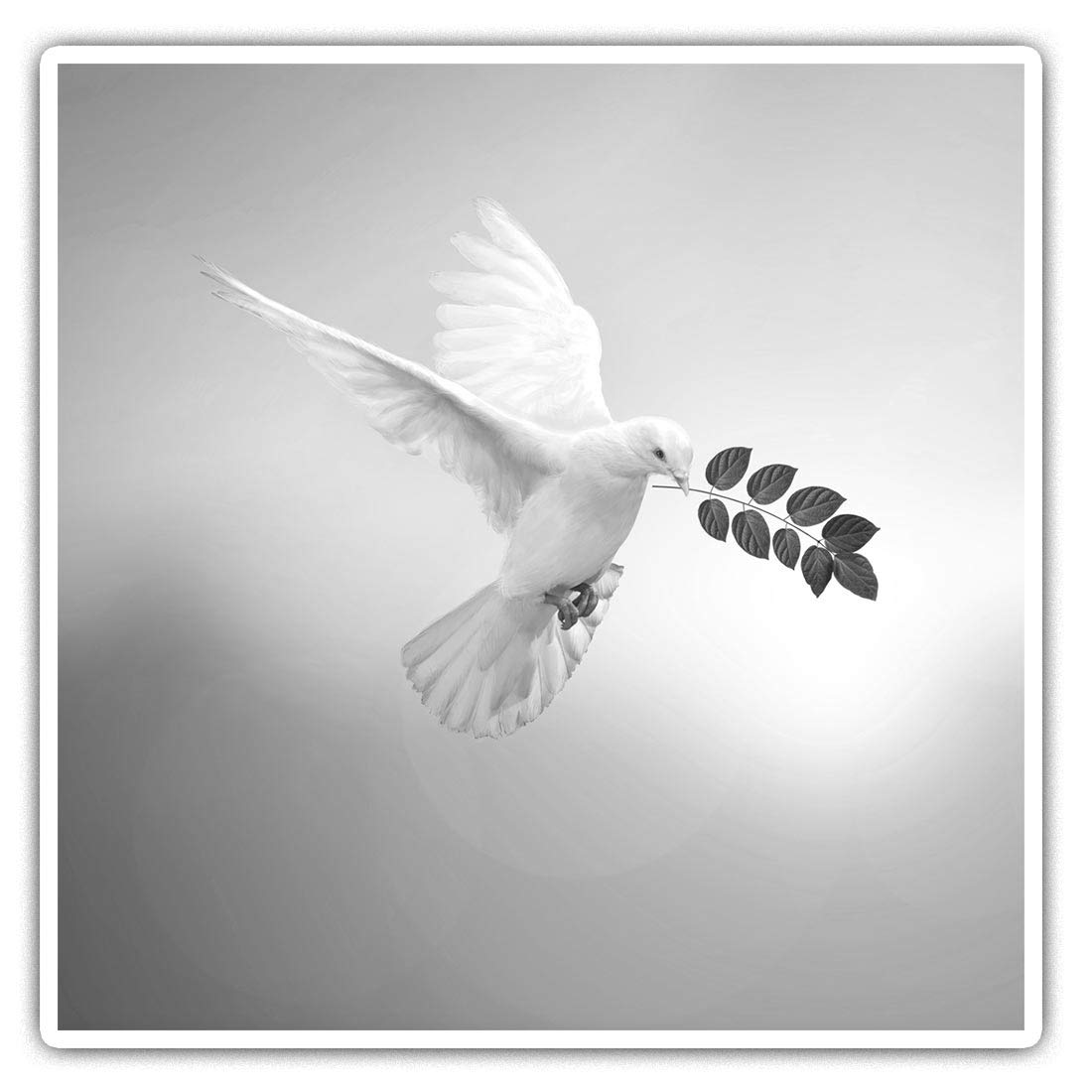 Destination Vinyl Ltd Multi 2 X 10Cm Square Vinyl Stickers - White Dove Peace Bird Humanity Decals 43340