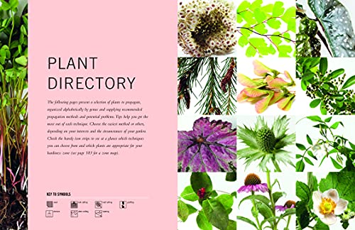 The Plant Propagator's Bible: A Step-by-Step Guide to Propagating Every Plant in Your Garden - Image 2