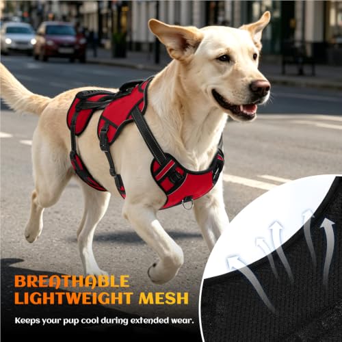 Image of NOYAL Dog Lift Harness, 2-in-1 Support Sling for Senior & Injured Dogs