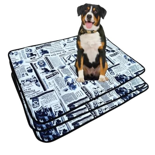 Tapetes Higiênico Lavável Kit 3 ou 6 Peças Jornal 100x70cm Xg ou 70x50cm G - Impermeável e Absorvente - 300 lavagens cada peça (3, Extra Grande)