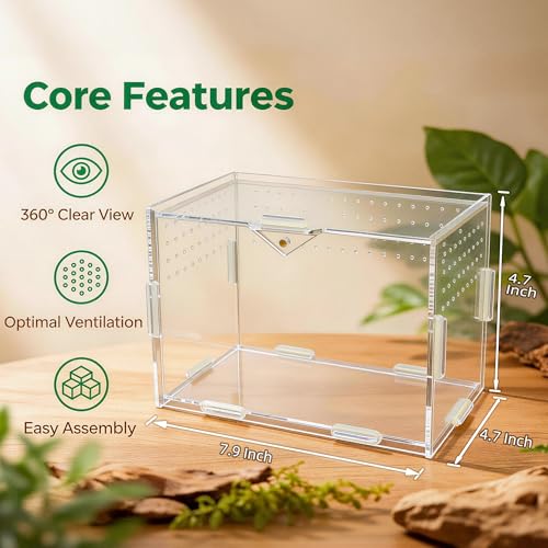 Image of Portable Travel Jumping Spider Enclosure, Acrylic Terrarium for Spider, Magnetic Lock Spider Habitat & Small Terrarium Ventilated for Tarantula,Mantis,Frog,Insect Enclosure cage (7.9x4.7x4.7 Inch)