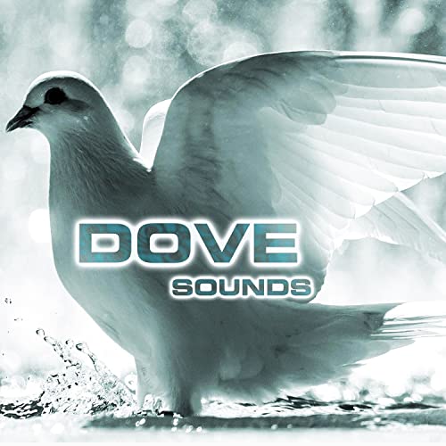 Dove Sounds (feat. National Geographic Nature Sounds, National