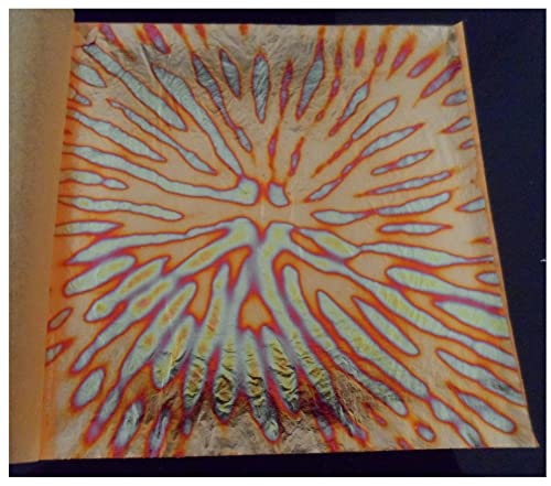 JINRUISI [t 50 q Jt C~e[VS[h[t  Ntg A[g (炫ԓ)