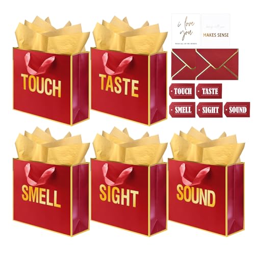 傫ȋ 5oMtgobO  ޏ xƃJ[ht   ^b` eCXg TEh MtgobO eBbVy[p[t a LO ̓ o^Cp 12 x 10 x 4C` (bh)