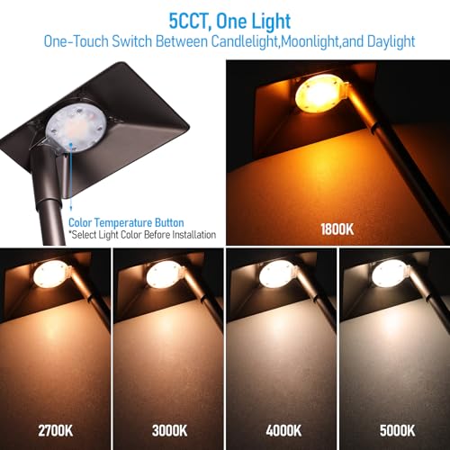 Image of LEONLITE 6-Pack 5CCT Anti-Glare Low Voltage Pathway Lights, 12-24V AC /DC