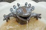 A sculptural water fountain of an anole resting at Longwood Gardens near Philadelphia Poster Print by Jason Pierce (18 x 24)