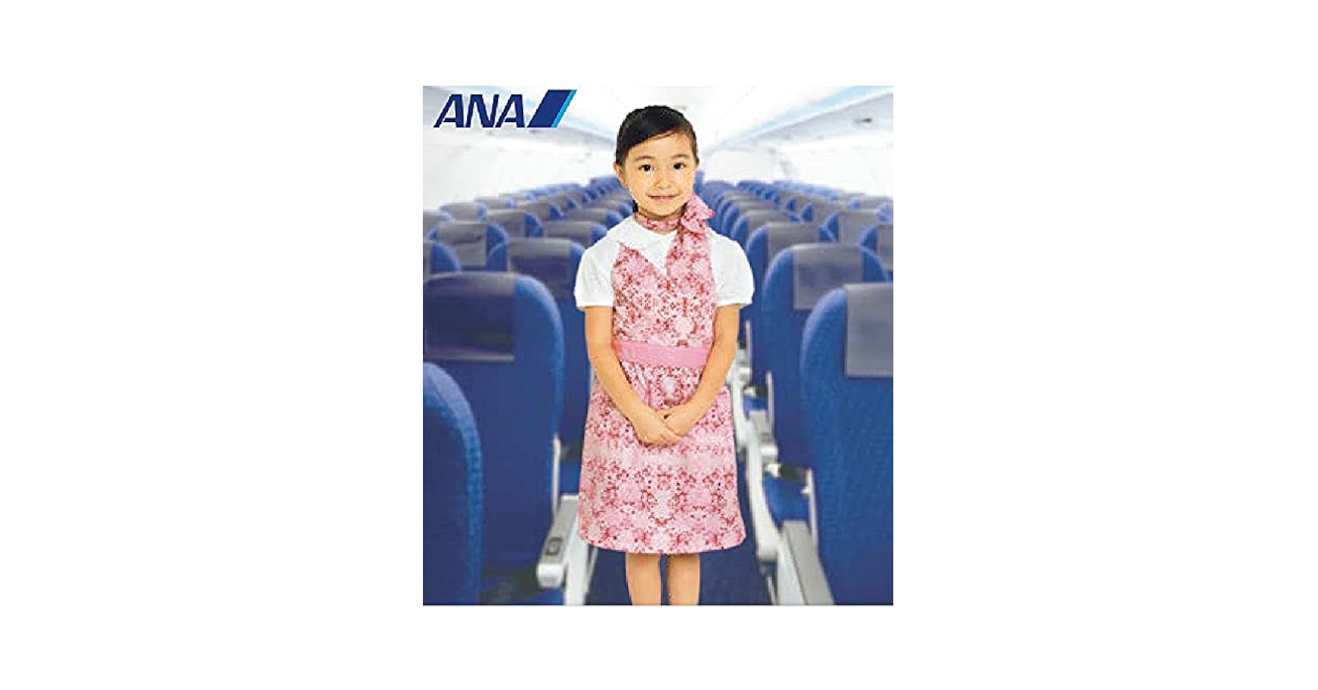 ★レア★ ANA エプロン フリーサイズ apron-story_j1482set