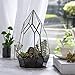 NCYP Modern Tabletop Black Glass Geometric Terrarium Container - Balcony Planter DIY Display Flower Pot for Succulent Fern - Miniature Botanical Fairy Garden, Large (No Plants, No Door)