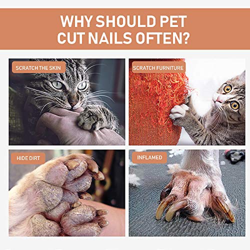 Anself Cortador de unhas de gato iluminado para animais de estimação Cortador de unhas de gato Tesou