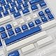 163 Tasten Classic BlauTastenkappen Cherry Profile Doubleshot Keycaps Set Fit für ISO ANSI 95% 75% 65% 60% Mechanische Tastatur Cherry Mx Gateron Switches