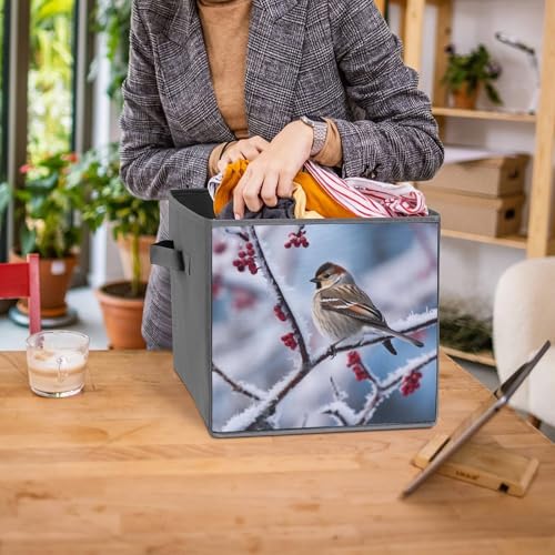 Panier de rangement pour étagères et placards avec boîtes pliables - 8