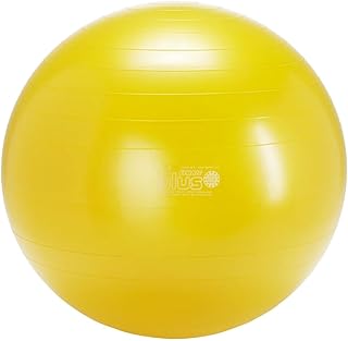 Gymnic Classic Plus 65 BRQ - Vendas de Fitness