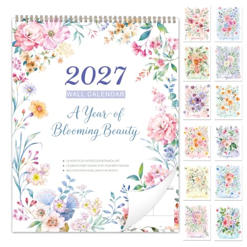Image of 2027 Calendar - 2027 Wall Calendar, Jan. 2027 - Dec. 2027, 11.5 inch x 29.3 inch