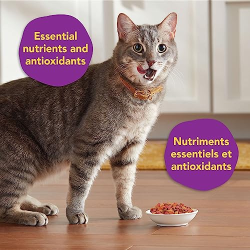 Meow Mix Original Choice Dry Kibble Cat Food with Flavours of Chicken Salmon Turkey and Ocean Fish, 7.25kg Bag - Image 5