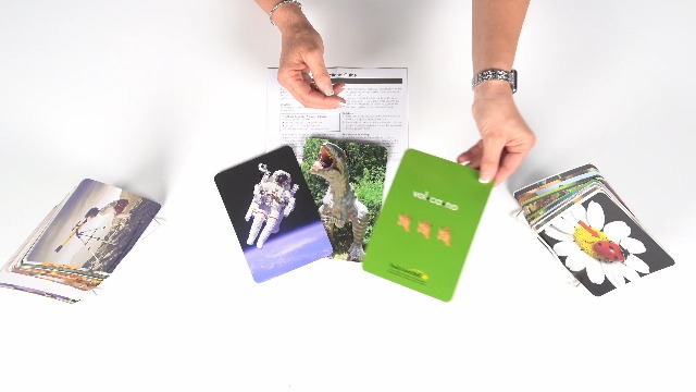Image of Really Good Stuff Syllable Photo Cards - 48 Cards