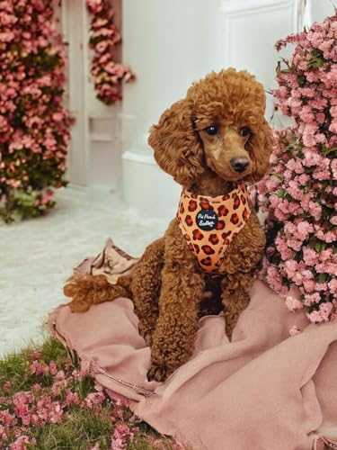 Spiced Honey Leopard Dog Harness XS, Orange, extra small - Image 2