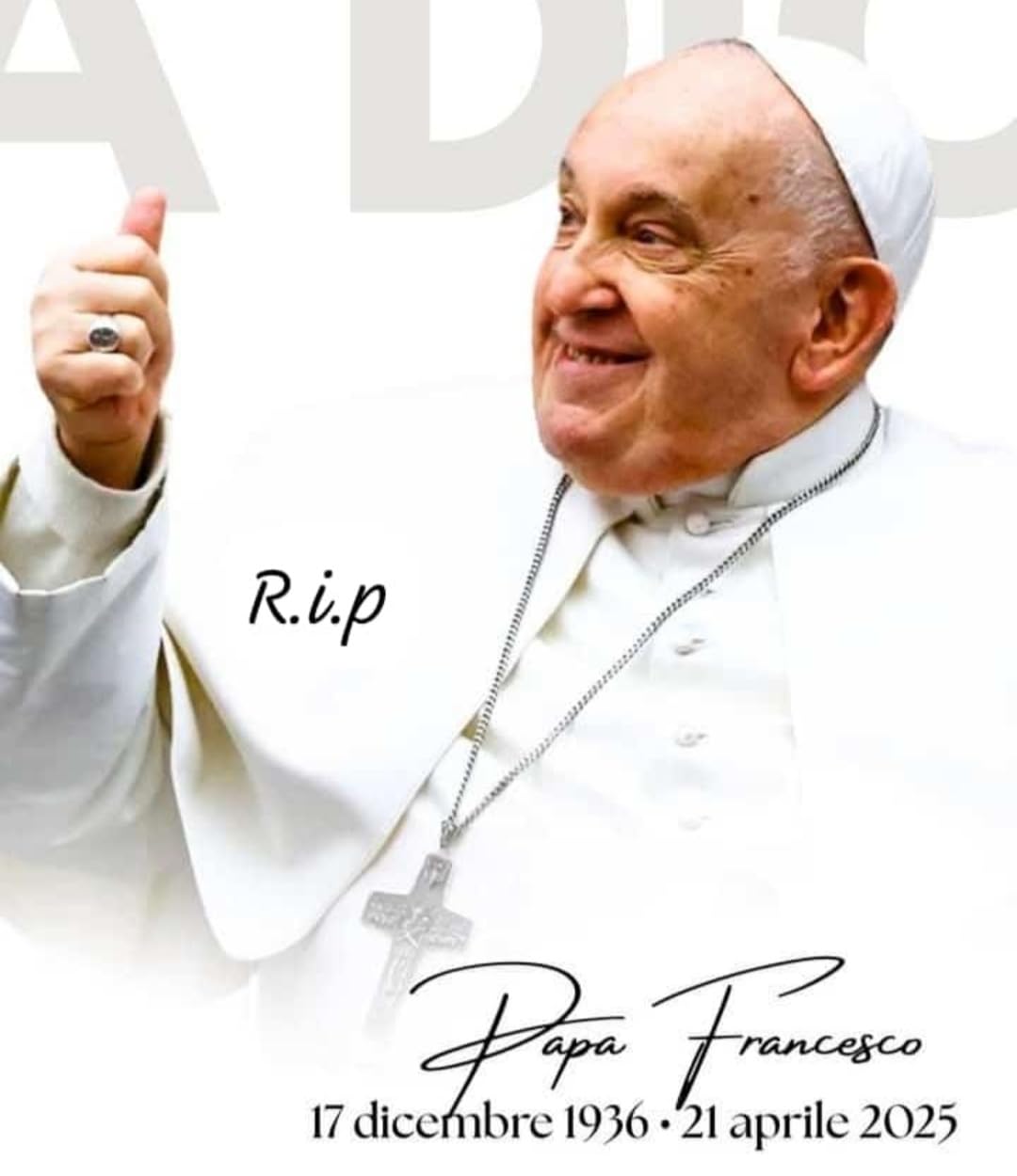 Pope Francis Chaussettes Du Pape Chaussettes Du Pape Chaussettes