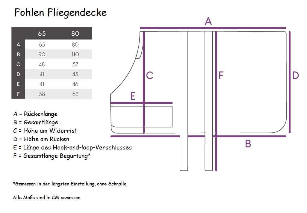 netproshop Fohlen Fliegendecke mit Schweiflatz Fohlenfliegendecke grau Gr. 65 und 80, Groesse:95, Farbe:Hellgrau