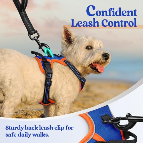 Image of rabbitgoo Dog Harness No Pull with 2 Leash Clips, Adjustable Soft Padded, Reflective Oxford No Choke Pet Vest with Easy Control Handle for Puppy, Blue & Orange, XS