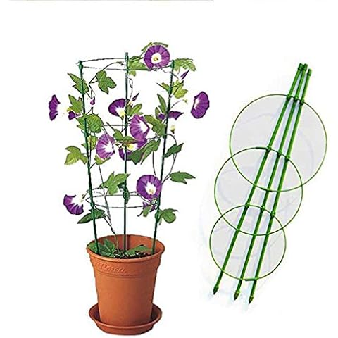 Binggong Garden aid for ran, plant cultivation tower, with trellis for tomatoes, trellis aid, obelisk bronze, height 60 cm, green plant holder, perennial holder, trellis support height adjustable Cover