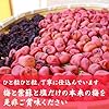 竹内農園 紀州南高梅 【特選】 昔ながらの すっぱい 梅干し 特別栽培 無添加 塩分20％ (しそ梅干し1kg) #4