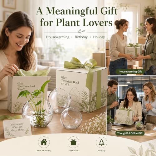 Image of 3 Pack Glass Terrarium Bowls for Air Plants, Clear Hydroponic Plant Propagation Vases with Wide Opening, Mini Indoor Garden Containers for Succulents, Pothos and Desk Decor