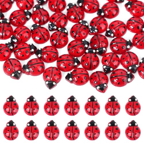 lasuroa 120pcs Mini Coccinelles en Résine, Coccinelle Miniatures Rouges et Noires Petites Figurines Amusantes en Résine pour Décoration de Jardin Féerique