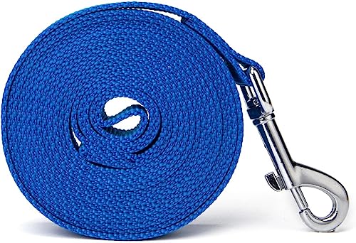 Image of 10 Feet Nylon Training Dog Leash for Small Medium Large Dogs Puppy Lead for Obedience Recall Training, Camping (Blue)