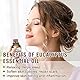 AESHORY Ätherische Öle Sandelholz 50ml, 100% Natürliche Ätherisches Aromatherapieöl in Therapeutischer Qualität, Duftöle für Diffuser, Luftbefeuchter, Hautpflege, Haarpflege, Massage, Bad, Entspannung