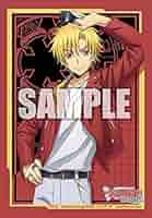 ヴァンガード イメージカラー スリーブ 江端トウヤ 共通面 宝石