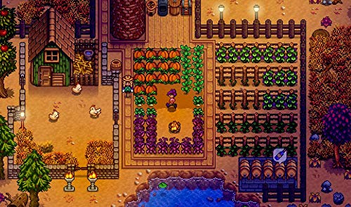Stardew Valley Edition Collector PS4 - vue 7