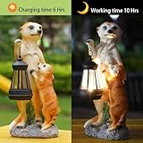 Zoom IMG-1 meerkat patio statuina di all Zoom IMG-1 meerkat patio statuina di all