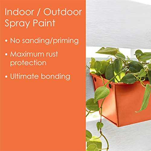 Image of Krylon Fusion All-In-One Adhesive Spray Paint for Indoor /Outdoor Use, 12 oz, Popsicle Orange