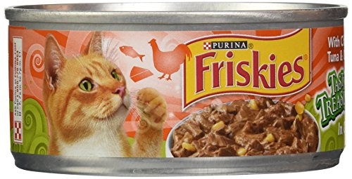 Friskies Canned Tasty Treasures Cat Food, Chicken & Tuna, 5.5 oz, 1 pack - image 1